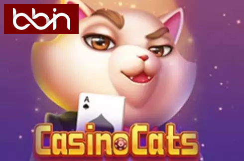 Casino Cats
